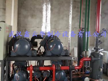 荆州湖北省某水产公司32吨速冻冷库